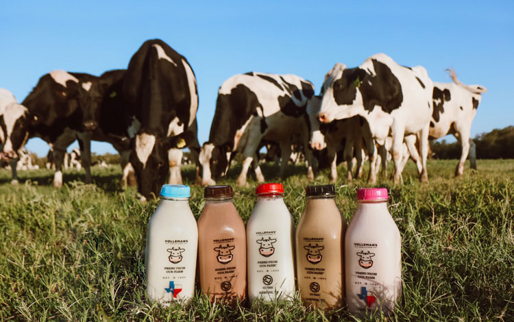 Productos Damily Farm de Volleman en botellas de vidrio